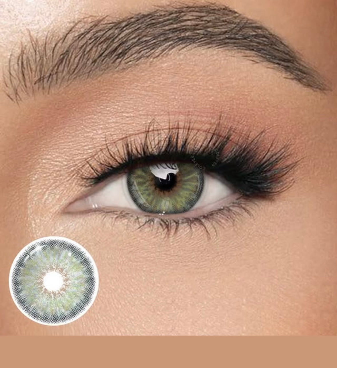 LENTILLES