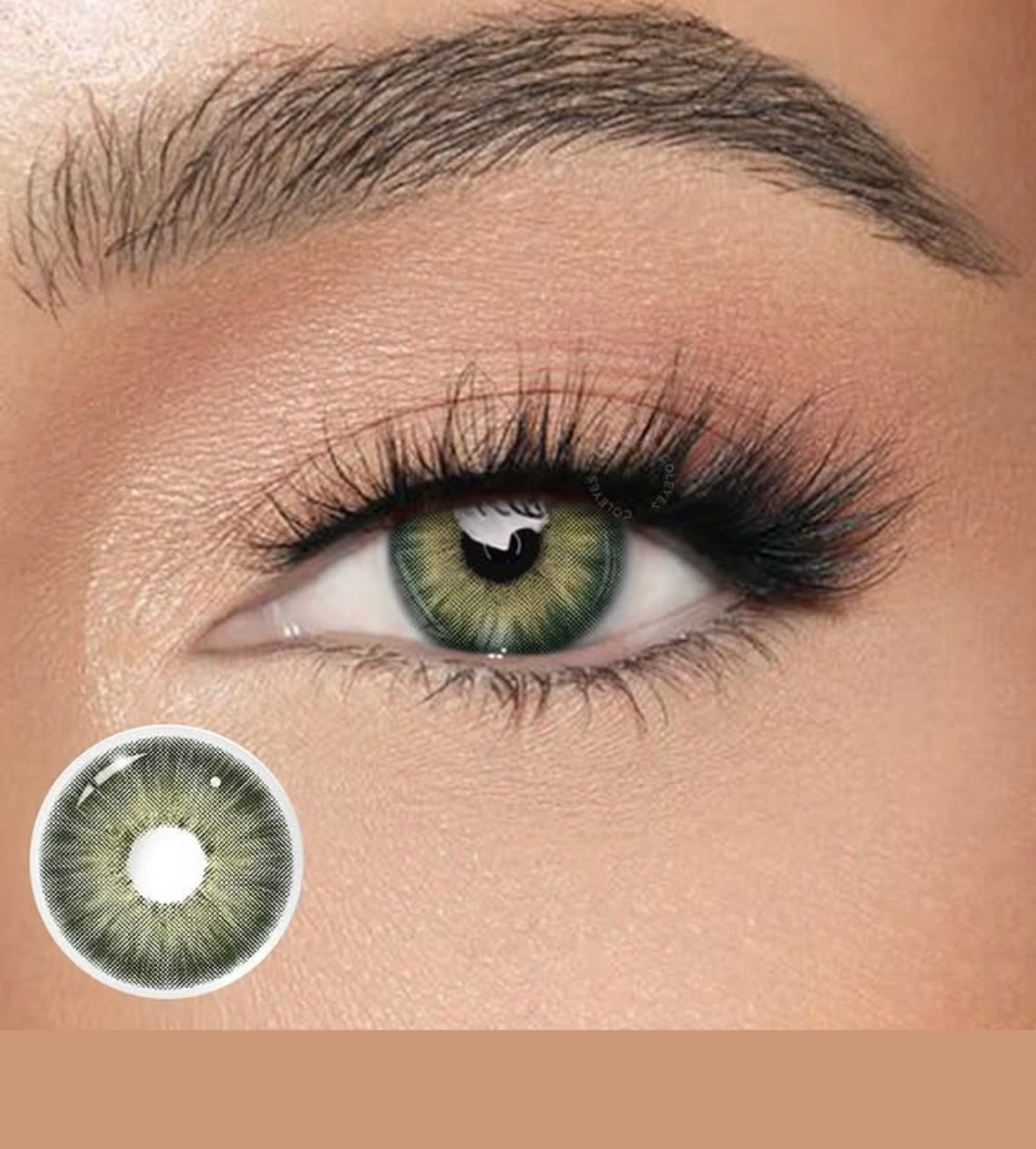 LENTILLES